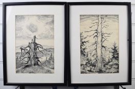 Ernst (Arnost) Hrabal (Czechoslovakian 1886-1969) pair of pen and ink studies of trees, both signed,