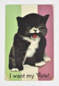 Suffragette cat postcard 'I Want My Vote' addressed to Mrs /  Miss (indistinct) Gutteridge and dated