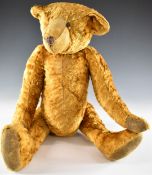 German Steiff or similar Teddy bear with golden mohair, jointed limbs, shaved snout and straw filled