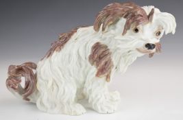 19thC Meissen Bolognese dog with early flat base and worn cross swords mark partially visible,
