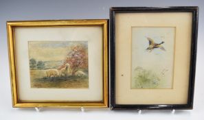 James Stinton and E M Barker Royal Worcester artists two signed watercolours of lambs and mallard in
