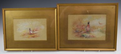 James Stinton Royal Worcester artist near pair of watercolours of cock pheasants guarding hens