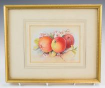H Ayrton Royal Worcester artist watercolour painted fruit, 16 x 14cm