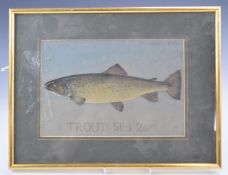 P.D Malloch Perth watercolour study of a trout fish, titled Trout 5lb 2oz and named top right, 17