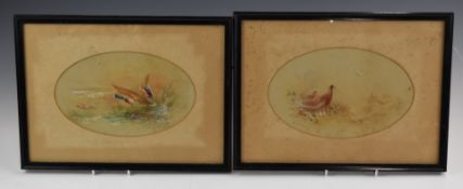 James Stinton Royal Worcester artist pair of watercolours of ducks in flight and pheasants, 13 x