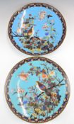 A pair of Chinese cloisonné chargers decorated with birds of prey, diameter 30cm