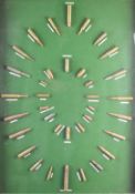 A rifle cartridge display board with thirty-six brass cartridges all labelled and mounted on green