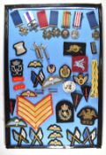 A display of modern army proficiency / qualification badges including Air Despatch, Parachutist