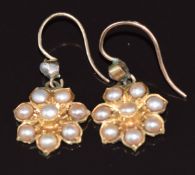 A pair of Edwardian 15ct gold earrings set with pearls in a floral setting, 3.4g