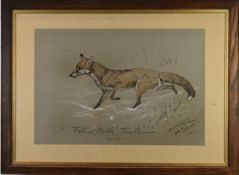 Basil Nightingale (1864-1940) charcoal and pastel humorous hunting interest study of a fox 'Foot and
