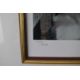 Douglas Hoffman signed limited edition 225/295 photograph of a nude lady, 60 x 73cm, in ornate - Image 3 of 5