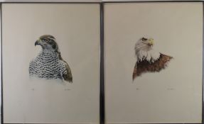 Don Cordery (born 1942) pair of signed limited edition (49/200) studies of birds Bald Headed Eagle
