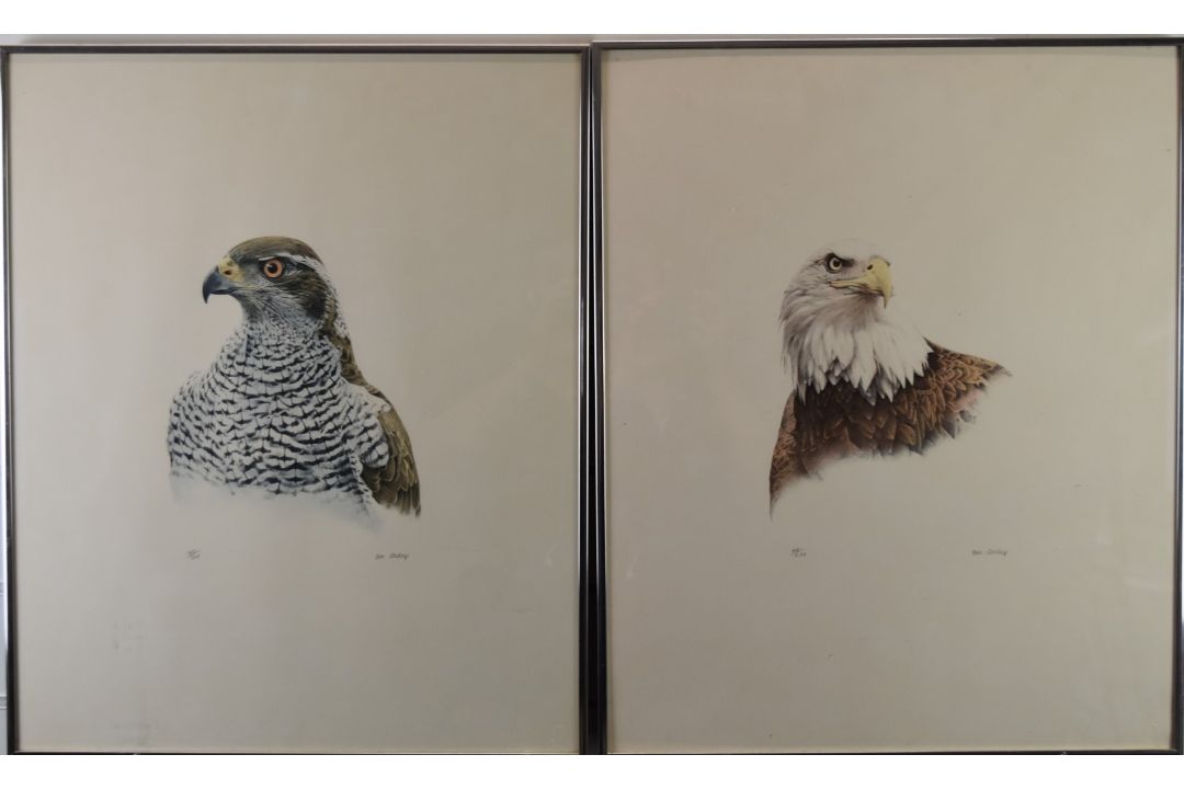 Don Cordery (born 1942) pair of signed limited edition (49/200) studies of birds Bald Headed Eagle - Image 1 of 7