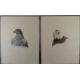 Don Cordery (born 1942) pair of signed limited edition (49/200) studies of birds Bald Headed Eagle - Image 1 of 7