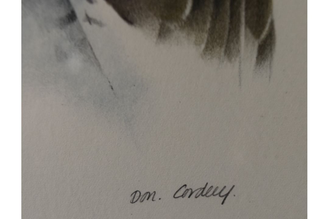 Don Cordery (born 1942) pair of signed limited edition (49/200) studies of birds Bald Headed Eagle - Image 4 of 7
