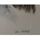 Don Cordery (born 1942) pair of signed limited edition (49/200) studies of birds Bald Headed Eagle - Image 4 of 7