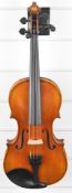 Beijing David Lien Model B professional violin with 35.6cm two piece back, spruce top, maple sides