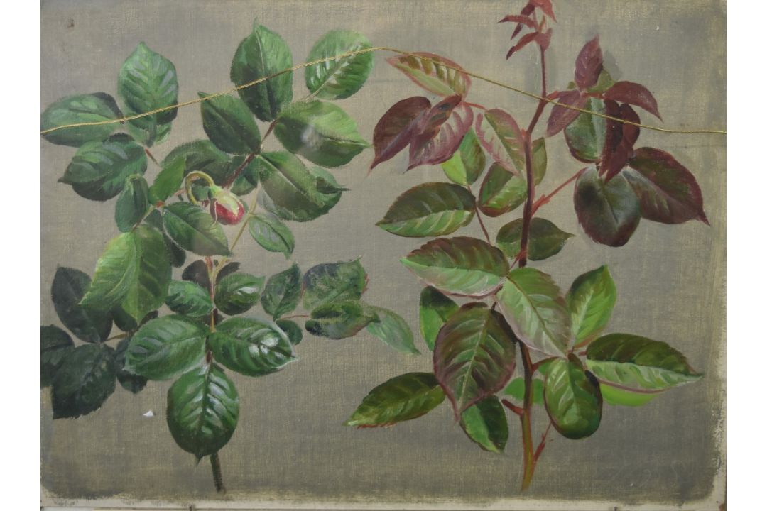 John Bulloch Souter (1896-1971) double sided oil on board floral studies, one side initialled JBS, - Image 3 of 5