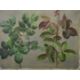 John Bulloch Souter (1896-1971) double sided oil on board floral studies, one side initialled JBS, - Image 3 of 5