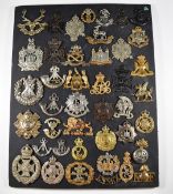 Mounted display of approximately 40 British Army metal badges including Essex Regiment, Rifle