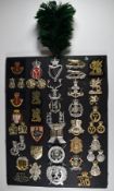 Mounted display of approximately 45 British Army anodised and cloth badges including Queen's Own