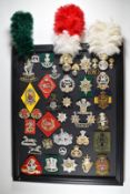 Mounted display of approximately 45 British Army badges, mostly anodised but some cloth examples,