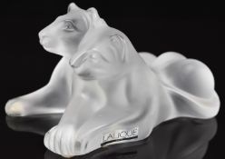 Lalique frosted glass Tambwee Lion Cubs, with original label and signed 'Lalique France' to base,