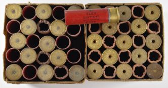 Approximately fifty 8 bore shotgun cartridge cases.