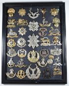 Mounted display of approximately 30 British Army Infantry metal badges including Black Watch,