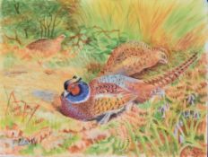 Framed porcelain plaque with hand decorated cock and hen pheasants, 9 x 12, frame 19 x 20cm