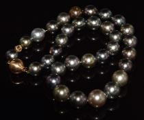 A single strand of Tahitian pearls with an 18ct gold clasp by Schoeffel, 63g