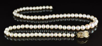 A single strand of pearls with an 18ct gold clasp set with diamonds and further pearls, 44cm long (