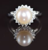 A 9ct white gold ring set with a cultured pearl surrounded by diamonds, 3.3g, size M