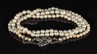 A single strand of cultured pearls the 9ct white gold clasp set with diamonds, 44cm long