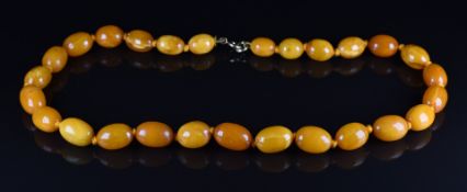 Baltic amber necklace made up of graduated oval beads, largest 1.4 x 0.9cm, smallest 1 x 0.7cm ,