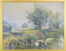 Frederick William Whitehead (1853-1938) watercolour ducks on a meandering river, 20 x 26cm, in
