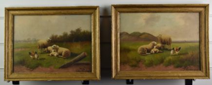 Joseph Van Dieghem (1843-1885) pair of oil on canvas studies of sheep and chickens in rural