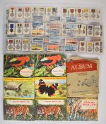 A collection of cigarette, tea and other collectors cards including A&BC chewing gum flags of the