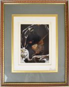 Miniature taxidermy interest model of a pheasant in a winter snow scene, by John Selway of