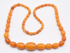 Baltic amber necklace made up of graduated oval beads, largest 19 x 28mm, smallest 7 x 10mm, 64g