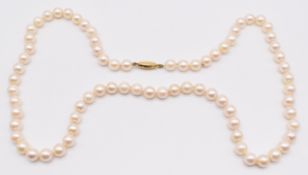 A single strand of cultured pearls with 9ct gold clasp, 39.8g, 56cm