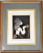 Miniature taxidermy interest model of a grey heron with a trout in its beak, by John Selway of