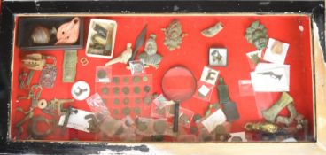 Display case containing metal detecting find, Roman brooches, artefacts, metal detecting finds,