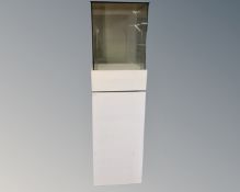 A jeweller's glass display cabinet fitted with cupboard beneath (width 50cm)