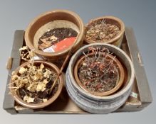 A box containing five ceramic plant pots.