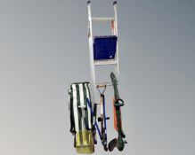 A set of Abru three-way folding aluminium ladders together with a Black & Decker electric strimmer,