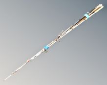 A bundle of assorted fishing rods