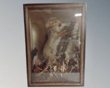 A taxidermy red squirrel in glazed display case with naturalistic setting, measuring 28cm by 38cm.