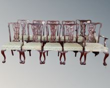 Ten early 20th century century mahogany Hepplewhite style dining chairs on claw and ball feet