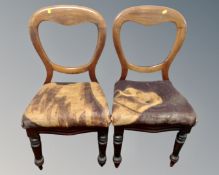 A pair of Victorian mahogany dining chairs
